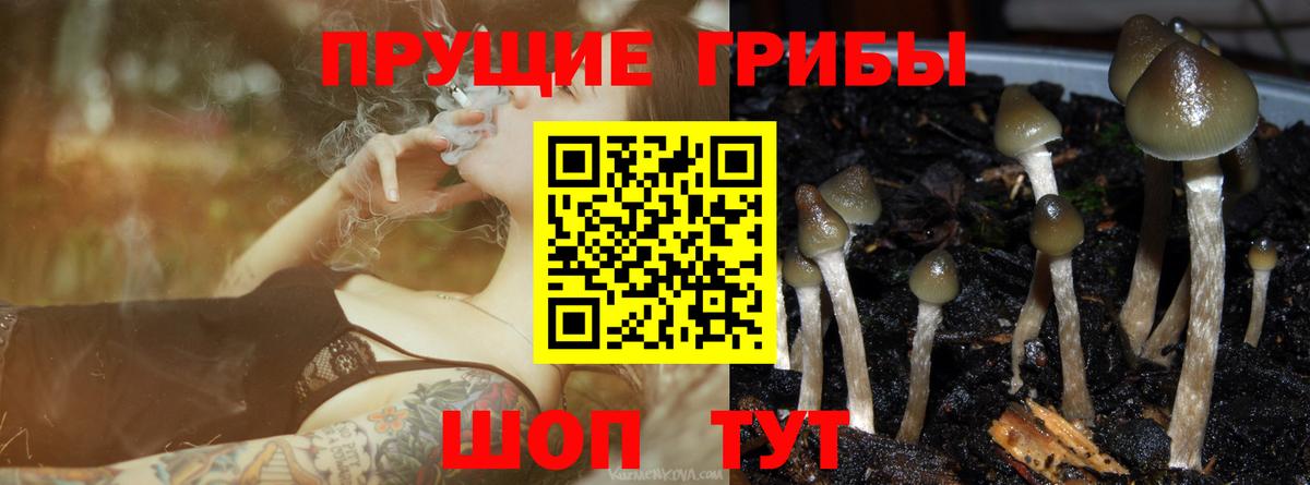 Галлюциногенные грибы ЛСД Донской