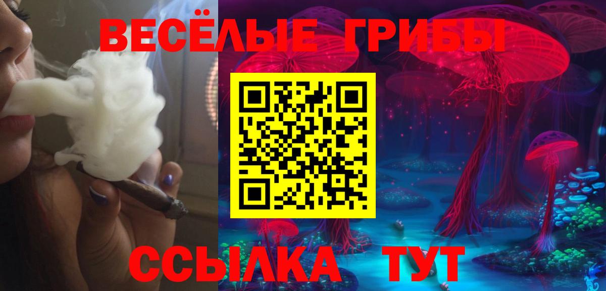 Галлюциногенные грибы прущие грибы  Вход с VPN  Галлюциногенные грибы Magic Shrooms  Донской 